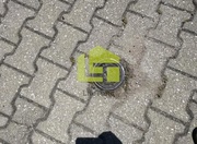 Terreno R�stico - Fortios, Portalegre, Portalegre - Miniatura: 4/9