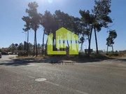 Terreno R�stico - Azeit�o, Set�bal, Set�bal - Miniatura: 1/9