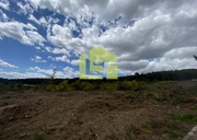 Terreno R�stico - Sabrosa, Sabrosa, Vila Real - Miniatura: 2/9