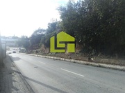 Terreno R�stico - Santa Clara, Coimbra, Coimbra - Miniatura: 1/9