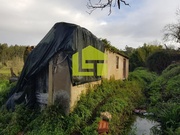 Terreno R�stico - Condeixa-a-Velha, Condeixa-a-Nova, Coimbra - Miniatura: 2/9