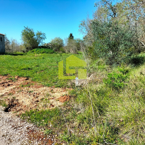 Terreno R�stico - Condeixa-a-Velha, Condeixa-a-Nova, Coimbra - Imagem grande