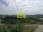 Terreno Rstico - Tavarede, Figueira da Foz, Coimbra - Miniatura: 6/9