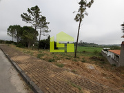 Terreno R�stico - Cernache, Coimbra, Coimbra - Miniatura: 1/3