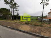 Terreno R�stico - Cernache, Coimbra, Coimbra - Miniatura: 2/3