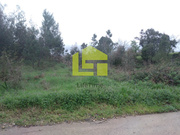 Terreno R�stico - Taveiro, Coimbra, Coimbra - Miniatura: 7/9
