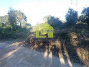 Terreno Rstico - Assafarge, Coimbra, Coimbra - Miniatura: 4/9