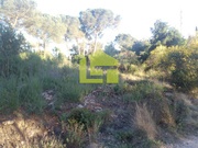 Terreno Rstico - Assafarge, Coimbra, Coimbra - Miniatura: 9/9