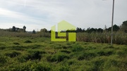 Terreno R�stico - Condeixa-a-Velha, Condeixa-a-Nova, Coimbra - Miniatura: 3/9