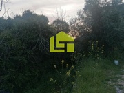 Moradia T3 - Podentes, Penela, Coimbra - Miniatura: 7/9