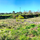 Terreno R�stico - Condeixa-a-Velha, Condeixa-a-Nova, Coimbra - Miniatura: 9/9