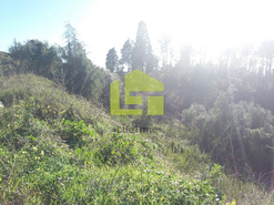 Terreno R�stico - Assafarge, Coimbra, Coimbra