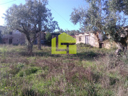 Terreno Rstico - Podentes, Penela, Coimbra - Miniatura: 9/9