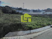 Terreno R�stico - Cernache, Coimbra, Coimbra - Miniatura: 2/9