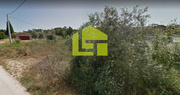 Terreno R�stico - Cernache, Coimbra, Coimbra - Miniatura: 5/9