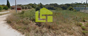 Terreno R�stico - Cernache, Coimbra, Coimbra - Miniatura: 6/9