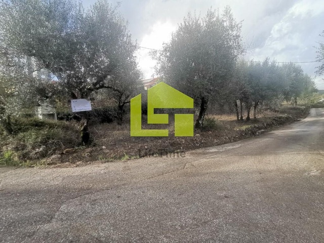 Terreno R�stico - Podentes, Penela, Coimbra - Imagem grande