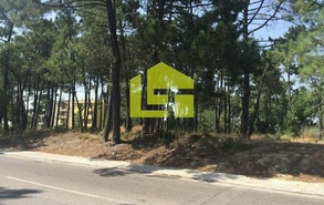Terreno Rstico - Azeito, Setbal, Setbal