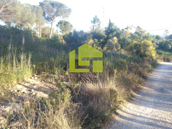Terreno R�stico - Assafarge, Coimbra, Coimbra