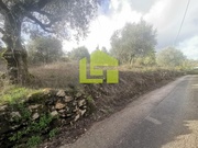 Terreno R�stico - Podentes, Penela, Coimbra - Miniatura: 3/9