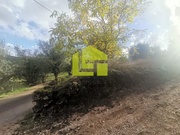 Terreno R�stico - Podentes, Penela, Coimbra - Miniatura: 4/9
