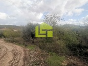 Terreno R�stico - Podentes, Penela, Coimbra - Miniatura: 5/9