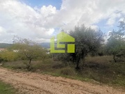 Terreno R�stico - Podentes, Penela, Coimbra - Miniatura: 7/9