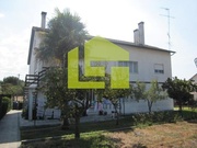 Moradia T5 - Montalvo, Const�ncia, Santar�m - Miniatura: 1/8