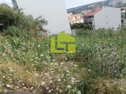 Terreno R�stico - Tavarede, Figueira da Foz, Coimbra - Miniatura: 9/9