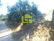 Terreno R�stico - Assafarge, Coimbra, Coimbra - Miniatura: 2/9