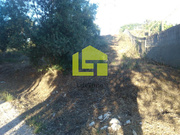 Terreno R�stico - Assafarge, Coimbra, Coimbra - Miniatura: 3/9