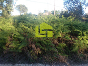 Terreno R�stico - Assafarge, Coimbra, Coimbra - Miniatura: 6/9