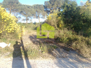 Terreno R�stico - Assafarge, Coimbra, Coimbra - Miniatura: 7/9
