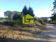 Terreno R�stico - Assafarge, Coimbra, Coimbra - Miniatura: 8/9