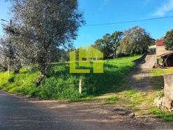 Terreno R�stico - S�o Martinho do Bispo, Coimbra, Coimbra