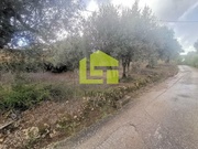 Terreno R�stico - Podentes, Penela, Coimbra - Miniatura: 2/9