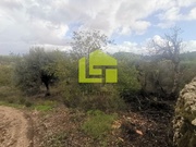 Terreno R�stico - Podentes, Penela, Coimbra - Miniatura: 6/9