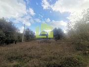 Terreno R�stico - Podentes, Penela, Coimbra - Miniatura: 9/9