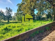 Terreno R�stico - S�o Martinho do Bispo, Coimbra, Coimbra - Miniatura: 4/9