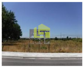 Terreno R�stico - Ponte de Sor, Ponte de Sor, Portalegre - Miniatura: 3/5