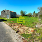 Terreno R�stico - Condeixa-a-Velha, Condeixa-a-Nova, Coimbra - Miniatura: 1/9