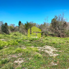 Terreno R�stico - Condeixa-a-Velha, Condeixa-a-Nova, Coimbra - Miniatura: 3/9