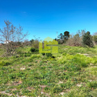 Terreno R�stico - Condeixa-a-Velha, Condeixa-a-Nova, Coimbra - Miniatura: 4/9