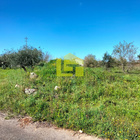 Terreno R�stico - Condeixa-a-Velha, Condeixa-a-Nova, Coimbra - Miniatura: 5/9