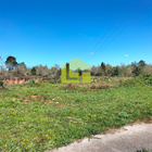 Terreno R�stico - Condeixa-a-Velha, Condeixa-a-Nova, Coimbra - Miniatura: 7/9