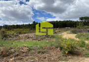 Terreno R�stico - Sabrosa, Sabrosa, Vila Real - Miniatura: 3/9