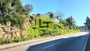 Terreno R�stico - Santa Clara, Coimbra, Coimbra - Miniatura: 4/9