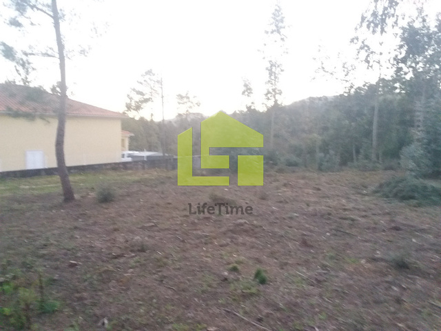 Terreno R�stico - Miranda do Corvo, Miranda do Corvo, Coimbra - Imagem grande