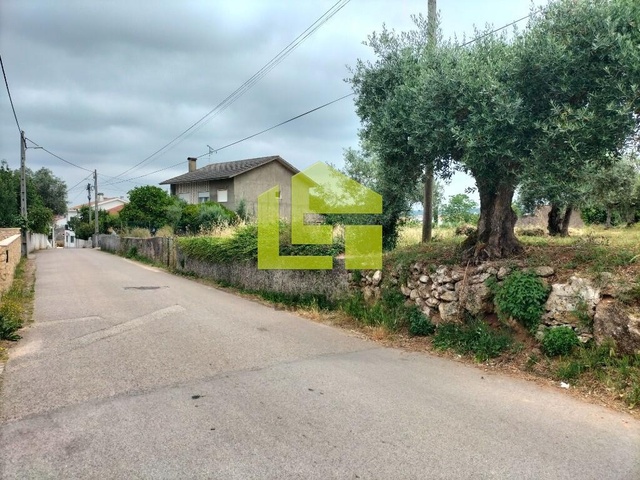 Terreno R�stico - Cernache, Coimbra, Coimbra - Imagem grande