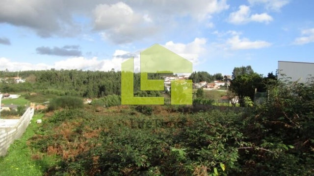 Terreno R�stico - Nogueira da Regedoura, Santa Maria da Feira, Aveiro - Imagem grande